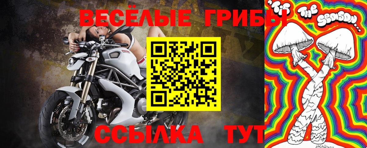 НБОМе Майкоп