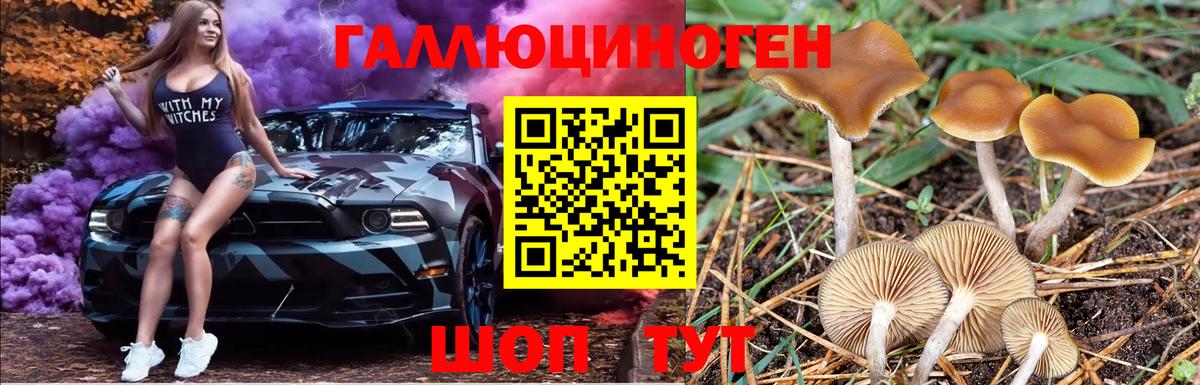 Псилоцибиновые грибы MAGIC MUSHROOMS Майкоп